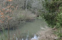 DSCF5876